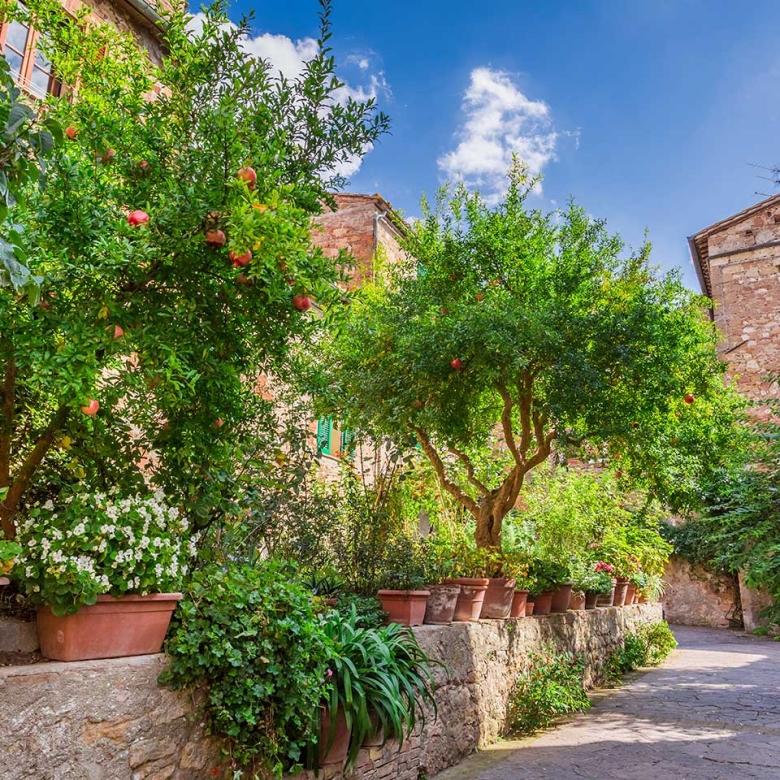 Villa con terrazza